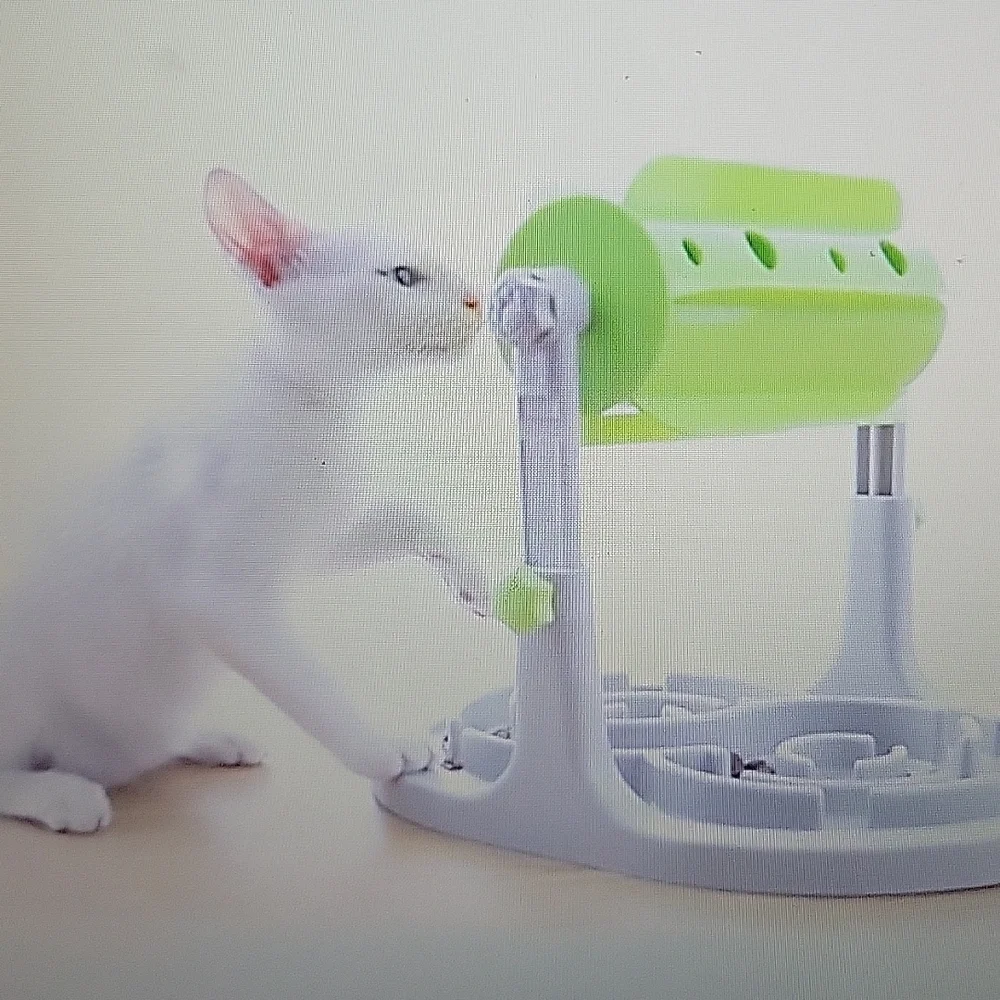 Companet interactive dog cat Slow Feeder Food Puzzle Small Medium Green …NEW